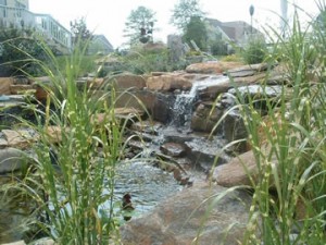 Landscaping, patios & ponds